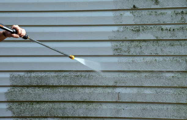 Best House Exterior Washing  in Sandstone, MN